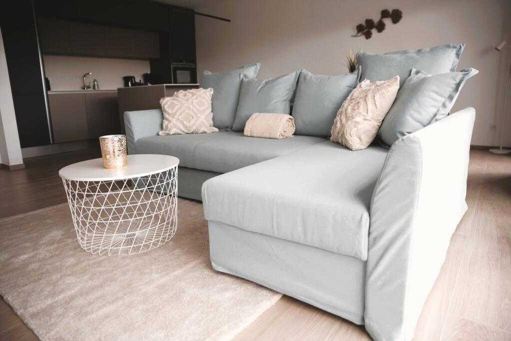 Beautiful Stylish 2br In Kirchberg Appartement