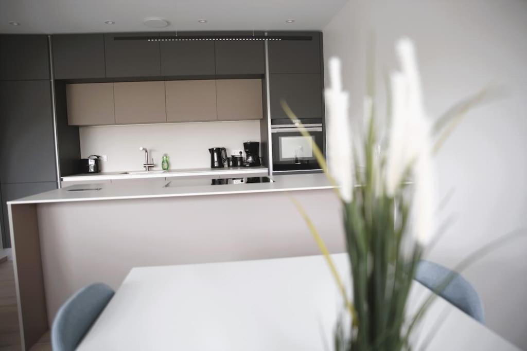 Appartement Beautiful Stylish 2br In Kirchberg Luxemburg